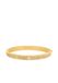 Michael Kors Premium Dames Armband, MKJ8653710