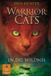 Warrior Cats Staffel 1/01. In die Wildnis