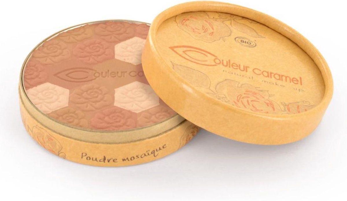 Couleur Caramel Poudre Mosaique 233 Teint Mate