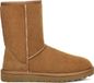 UGG Classic Short II Dames Laarzen - Chestnut - Maat 39
