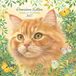 Plenty Gifts Franciens Katten Kalender 2027 Wandkalender