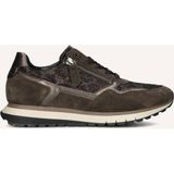 Gabor Sneakers 378 Bruin