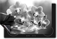 Chefcare Inductie Beschermer Roze Orchidee Bloemen - Zwart Wit - 75x55 cm