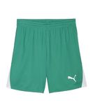 PUMA teamLIGA26 Shorts
