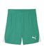PUMA teamLIGA26 Shorts