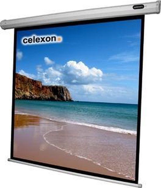 Celexon 1090068 projectiescherm 1:1