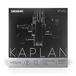 D'Addario KV313 4/4H Zware Spanning 4/4 Schaal Kaplan Vivo Viool D String