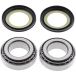 ALL BALLS Racing balhoofd lagerset steering head bearing set 22-1003 with simmerrings