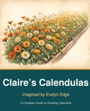 Claire's Calendulas
