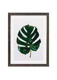Komar Fotolijst hout Stone Grey met Art Poster "Monstera Leaf" als set - Grootte: 30x40 cm