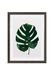 Komar Fotolijst hout Stone Grey met Art Poster "Monstera Leaf" als set - Grootte: 30x40 cm