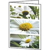 Sigel DC171 Wenskaarten A6 Glanzend 220 g/m² 10,5 x 14,8 cm Kleurenassortiment 25 Stuks