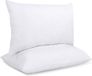 Unyqoos Lot de 2 Coussins de Remplissage de Luxe Confortables pour Canapé et Chambre - 30 x 50 cm, Blanc