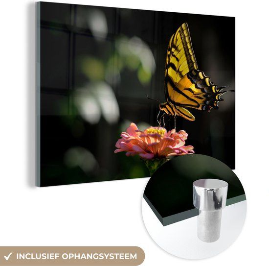 MuchoWow® Glass Painting 90x60 cm - Acrylic Glass Painting - Butterfly - Botanical - Flower - Photo on Glass - Paintings