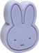 Atelier Pierre Nijntje All-In-One Soap - Silver Blue
