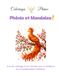 Coloriage thérapeutique - Se reconstruire en douceur: Coloriages Phénix