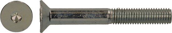 pgb-Europe PGB-FASTENERS BZK-schroef VZK VD D. 7991 M10x16 A2 | 200 st