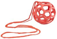Duvo+ Menno's Dierenwereld Voederbal voor kippen 14cm 1,5 meter rood