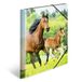 HERMA mappen A4 paardenset, 3-delig, kinderhoekmappen van kunststof met dierenmotief, elastische band, binnenkleppen en binnenprint voor jongens en meisjes