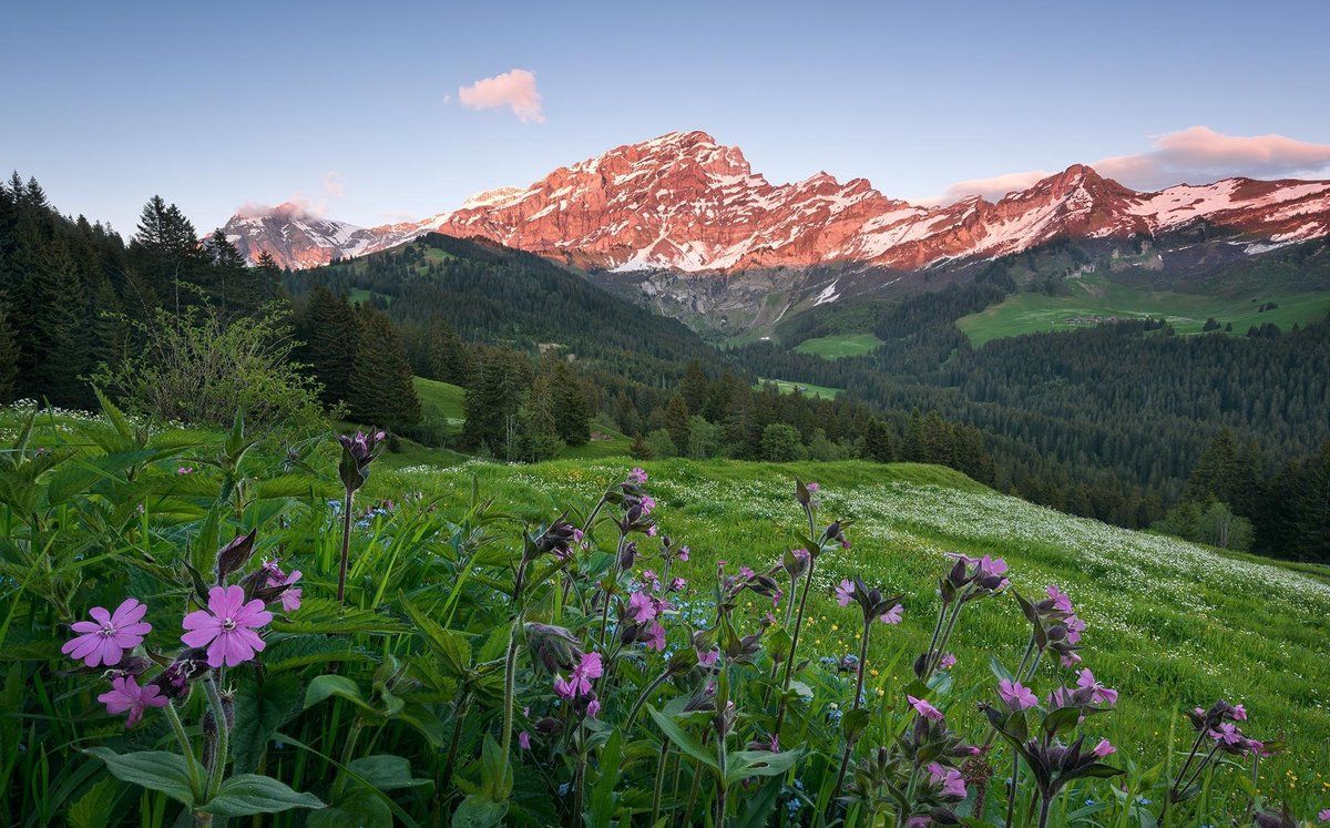 KOMAR Picturesque Switzerland Vlies Fotobehang 450x280cm 9-banen