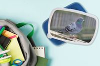 MuchoWow Broodtrommel Blauw - Lunchbox - Brooddoos - Duif - Vogel - Paars - Veren - 18x12x6 cm - BPA-vrij - Luchtdicht