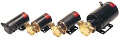 Johnson Pump F3b-19 21l/min Pompe de transfert 24v Or 170 x 100 x 82 mm