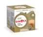 Gimoka Irish Coffee Capsules for Dolce Gusto - 3 Packs of 16 Capsules