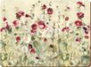 Creative Tops Placemats Field Poppies 30 X 23 Cm Kurk Crème 4 Stuks