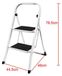 StarTech Vouwbare stalen ladder - 2 treden - Draagbaar - Antislip rubberen voetjes - Vrijstaand - Geschikt voor huis, kantoor en garage