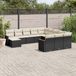 Maison Exclusive - Ensemble de jardin pour le jardin, composé de 12 pièces avec coussins, en polyrotin noir