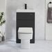 Hudson Reed Exton Toilet Fontein Combinatie