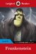 Frankenstein: Ladybird Readers Level 6 Frankenstein Paperback