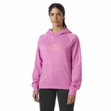 Helly Hansen Core Graphic Hoodie Roze XL Vrouw