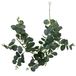 Boltze Home plantenslinger eucalyptus l75cm kunststof