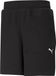 Puma BMW M Motorsport Shorts