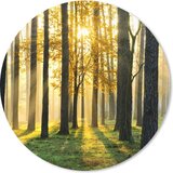 MousePadParadise Ronde muismat - Bos - Zon - 20x20 cm