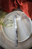Opinel Table Chic tafelmessenset - 4-delig - berkenhout - glad lemmet