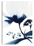 Clairefontaine 115926C - Genaaid notitieboek - Bloem in blauwe inkt - A5 14,8x21cm - 64 gelinieerd pagina's - 90g wit papier - Inkebana Collectie