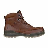 ECCO Men Track 25 Bison Boots - Size 42