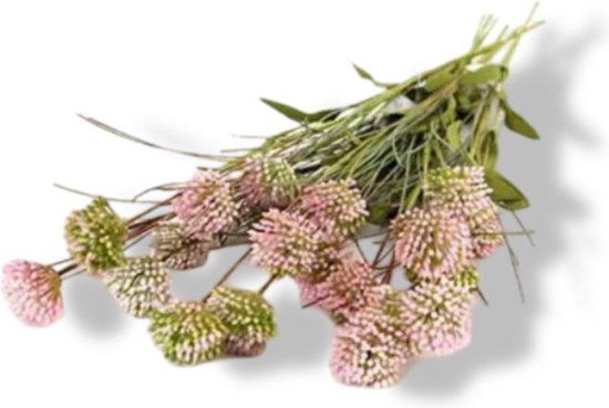 Buitengewoon Boet Buitengewoon de Boet Kunst Tak Allium Roze