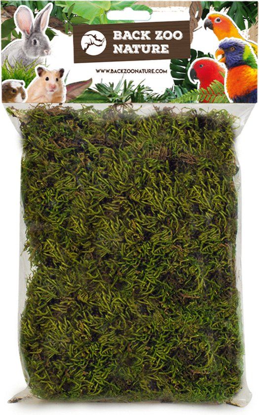Back Zoo Nature Forest Moss - Natuurlijk Speelgoed - Ca. 70 G