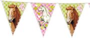 Haza Slingers Paarden (6 meter)