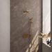 Brauer Gold Edition Thermostatische Regendoucheset Inbouw - Hoofddouche 20 cm - Gebogen Wandarm - Met Drukknoppen - Handdouche Staaf - Doucheslang - Geintegreerde Glijstang - Geborsteld Goud