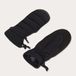 Oakley Apparel Oakley B1b Winter Handschoenen Zwart L Vrouw