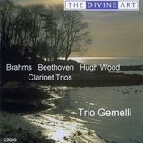 Outhere Divine Art Trio Gemelli - Brahms, Beethoven & Wood Clarinet T (CD)