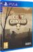 red art games Colt Canyon - PlayStation 4 - Standard Edition