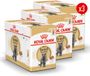 Royal Canin British Shorthair Adult Wet - 36 x 85 g