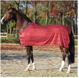 Kavalkade Paardenvliegendeken Stripe Bordeaux/Rood Polyester Maat 155