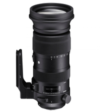 Sigma 60-600mm f/4.5-6.3 DG OS HSM Sports Lens for Nikon F