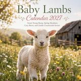 Baby Lambs Calendar 2027